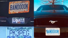 Do Vanity Licence Plates Saying 'Gun' And 'I'm Drunk' In Punjabi Promote Violence?