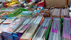 Punjab's Chief Minister makes an official statement on bursting firecrackers this Diwali, Gurpurab