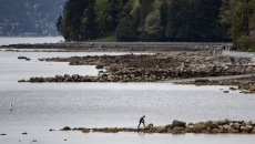 Drifting Barges In Vancouver's Coal Harbour Cause $1M Damage To Boats, Structures