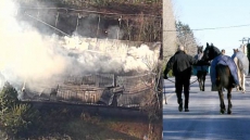 Passerby Sets Free Several Horses During Barn Fire In Surrey, B.C.