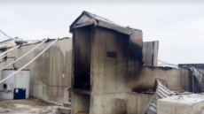 Barn Fire Kills 70 Cows In Southwestern Ontario