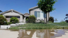 Parched Sunshine Coast Restricts All Outdoor Watering As Drought Persists