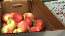 B.C. Apple Growers Fear Late Frost As Balmy Weather Speeds Apple Blossoms