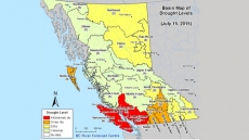 Making Hay While The Sun Shines: Feed Prices Go Up During Drought In The West