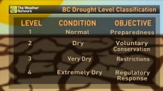 B.C. Drought Forces Mill To Close One Operation In Hopes Of Saving Two Others