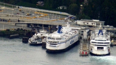 Blaring Car Alarms, Anxious Dog, Prompt Alleged Vandalism On B.C. Ferry: Police