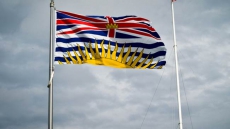 Preliminary Estimates of the Impact Of COVID-19 and Related Containment Measures on the B.C. Economy in 2020