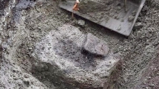 Ancient B.C. Footprints Confirmed As Earliest Known In North America