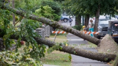 Hydro To Be Restored To Vancouver Island Customers By Thursday Night: Bc Hydro