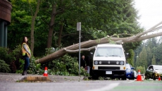 Powerful Winds Set To Hit Metro Vancouver, Fraser Valley, Vancouver Island