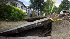 Vancouver Artists Could Carve Some Good Out Of Recent Powerful Windstorm