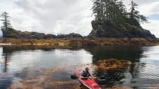 B.C. Tourism Industry Taking A Significant Hit Due To Wildfires