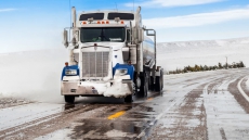 New Trucking Commissioner Tasked With Keeping Trucks Rolling At B.C. Port As Companies Protest