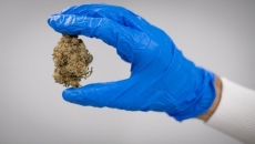 B.C. lets private pot shops sell online