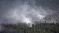 Evacuation alert for wildfire near Princeton, B.C.