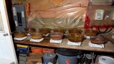 Massive drug cooking operation found in B.C.