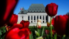 'Very good news,' that High Court will hear B.C. mineral claims case, Eby says