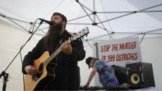 From flu outbreak to 'Ostrichfest' to high court, how B.C. ostrich cull saga unfolded