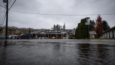 B.C. seniors need more COVID-19 protection: report