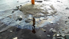Newfoundland And Labrador Seeks Help As Oil Leaks Into Marine Ecosystem