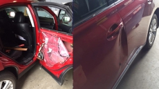 Another Hungry B.C. Bear Ransacks Car For Protein-bar Payoff In North Vancouver