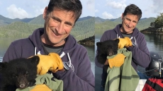 'It's Heartbreaking:' Malnourished, Tiny Bear Cub Found Near Mother's Dead Body