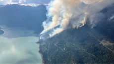 'Persistent' bears force 160 firefighters to pull out of B.C. Interior camp