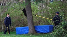 Devices to scare bears banned in Vancouver