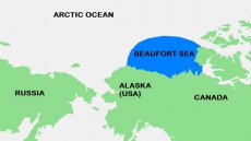 Federal government restricts possible Beaufort Sea fisheries
