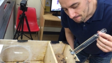 The Secret Life Of Bees Revealed