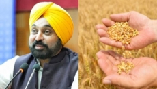 Akali Dal slams Punjab government for closing grain markets amidst paddy procurement