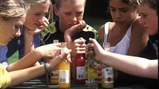 Will your kid become binge drinker?