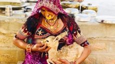 In Rajasthan, Bishnoi Woman Breastfeeds Baby Deer. Respect, Tweets Chef Vikas Khanna