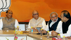 From economic reform to protecting cow, BJP promises it all