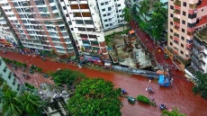 Rivers Of Blood On The Streets Of Dhaka After Eid Animal Sacrifice