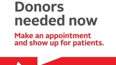 Canadians urged to donate blood as supplies low