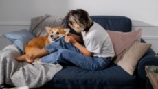 Blood donation in pets