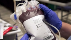Blood Services to request end to gay donation ban