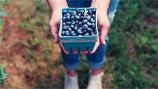Want To Shed Weight Without Doing Any Exercise? Just Eat A Handful Of Berries Every Day