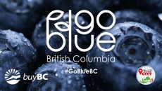 WATCH: Darpan Your City and the BC Blueberry Council present GoBlueBC