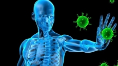 Nanobodies to help out in boosting immunity