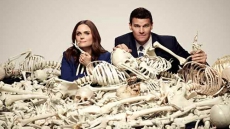 Our Ancestors Had Stronger Bones, Says Study