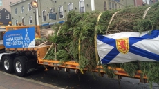 Nova Scotia Christmas Tree On The Way To Boston, Premier Attends Send Off