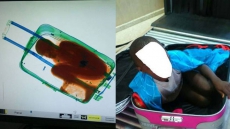 X-Ray Scan At Spanish Border Reveals 8-Year-Old Migrant Boy Being Smuggled In A Suitcase