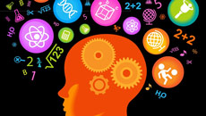 New insights on how brain develops memories