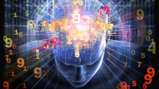 Your brain may not be wired to play stocks