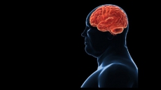 Mechanism linked to stroke damage identified