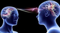 Direct brain-to-brain connection between humans established