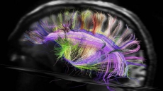 Can right brain rhythm create a super-perceiving human?