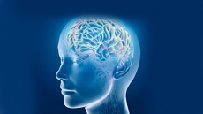 Protein 'switch' to turn off Alzheimer's identified